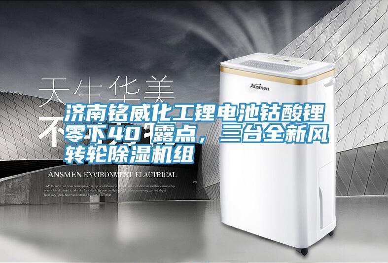 濟(jì)南銘威化工鋰電池鈷酸鋰零下40℃露點，三臺全新風(fēng)轉(zhuǎn)輪除濕機組