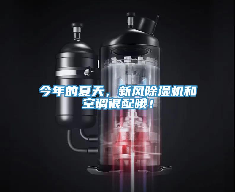 今年的夏天，新風(fēng)除濕機(jī)和空調(diào)很配哦！