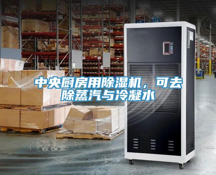 中央廚房用除濕機，可去除蒸汽與冷凝水