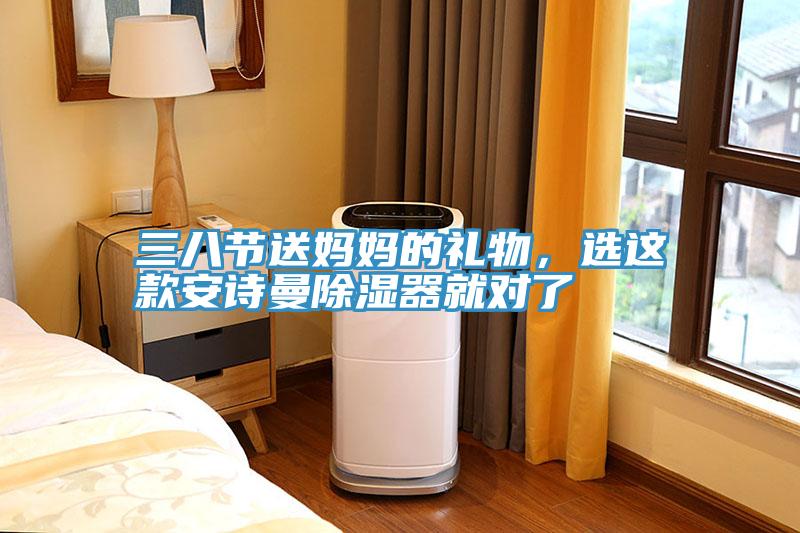 三八節送媽媽的禮物，選這款安詩曼除濕器就對了