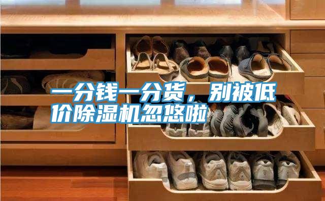 一分錢一分貨，別被低價除濕機忽悠啦