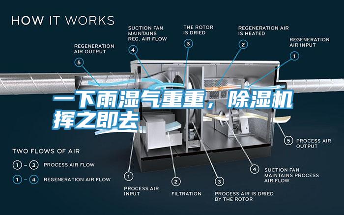 一下雨濕氣重重，除濕機揮之即去