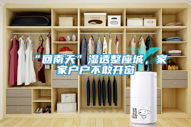 “回南天”濕透整座城,家家戶戶不敢開窗