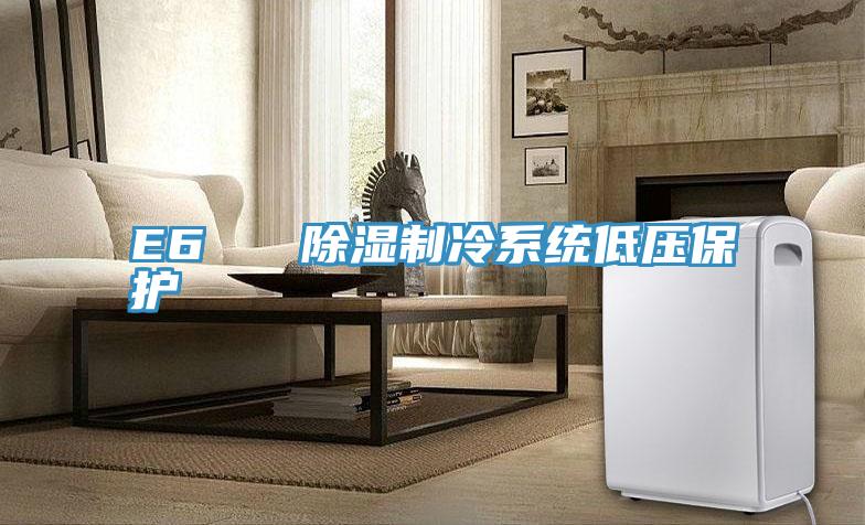 E6 除濕制冷系統低壓保護
