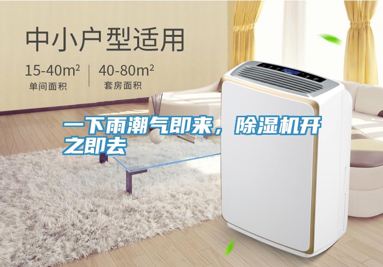 一下雨潮氣即來，除濕機開之即去