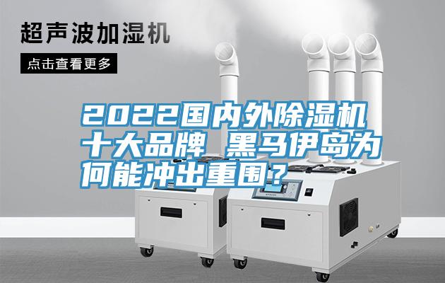 2022國內(nèi)外除濕機十大品牌 黑馬伊島為何能沖出重圍？