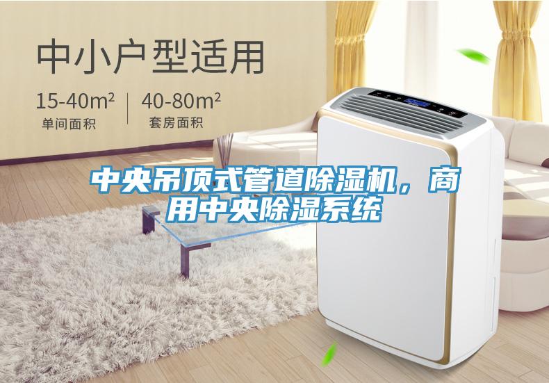 中央吊頂式管道除濕機，商用中央除濕系統