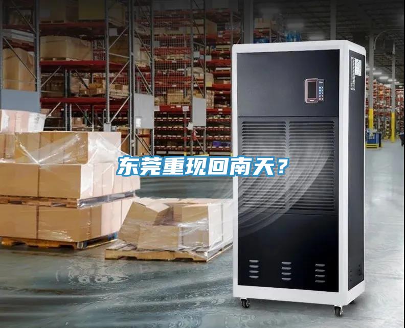 東莞重現回南天?