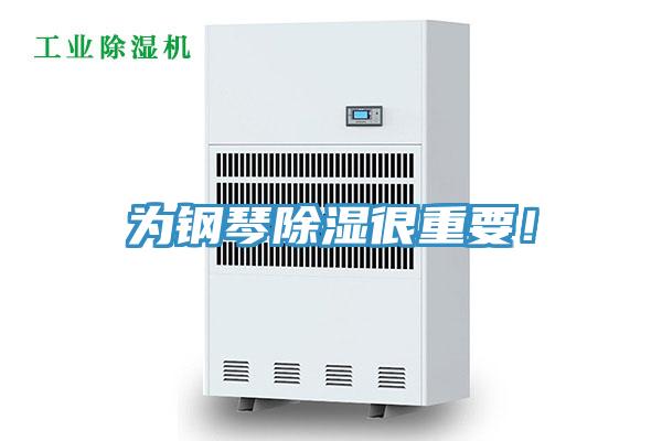 為鋼琴除濕很重要!