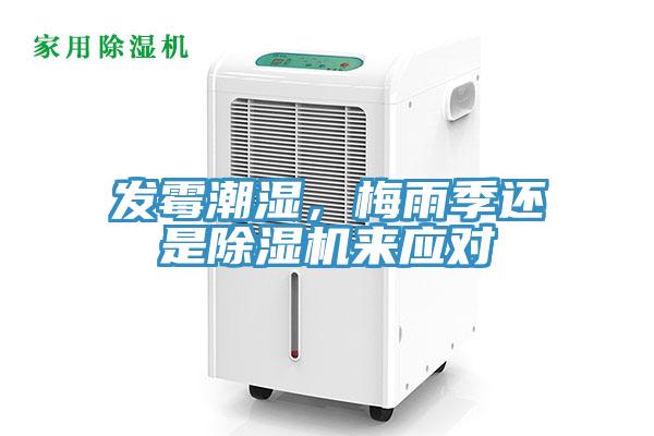 發(fā)霉潮濕，梅雨季還是除濕機來應(yīng)對