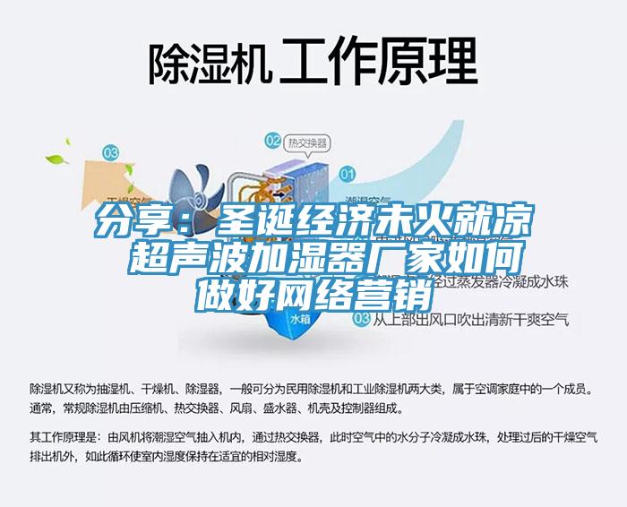 分享:圣誕經濟未火就涼 超聲波加濕器廠家如何做好網絡營銷