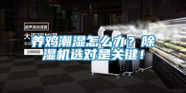 養(yǎng)雞潮濕怎么辦?除濕機選對是關鍵!