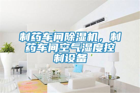 制藥車間除濕機(jī)，制藥車間空氣濕度控制設(shè)備