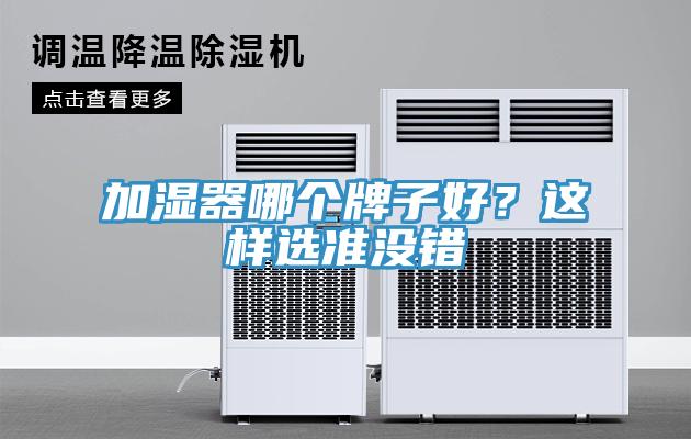 加濕器哪個牌子好?這樣選準(zhǔn)沒錯