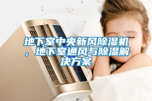 地下室中央新風(fēng)除濕機，地下室通風(fēng)與除濕解決方案