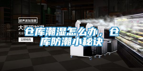 倉庫潮濕怎么辦，倉庫防潮小秘訣