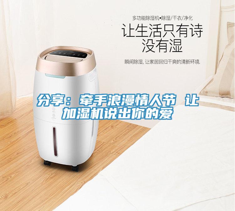 分享:牽手浪漫情人節 讓加濕機說出你的愛