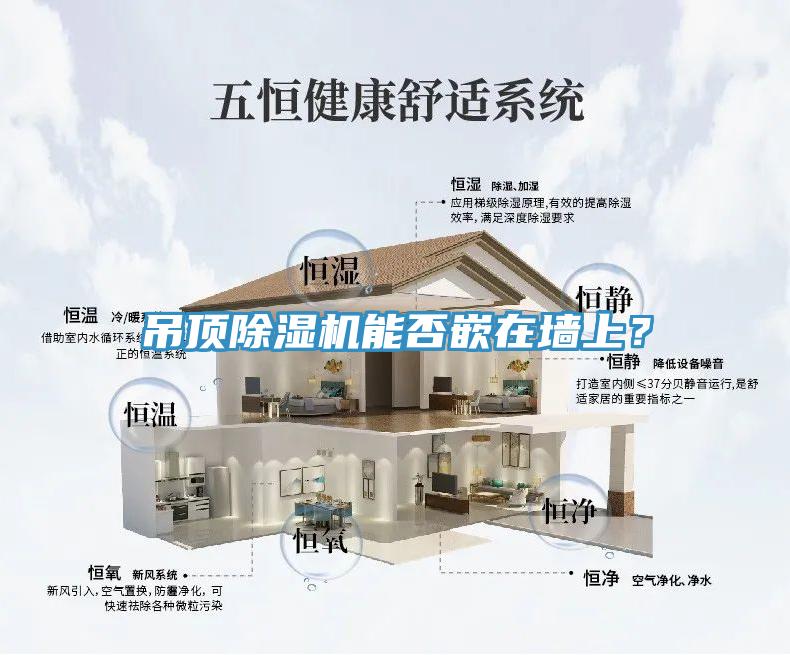 吊頂除濕機能否嵌在墻上?