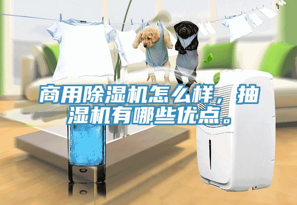 商用除濕機怎么樣，抽濕機有哪些優點。