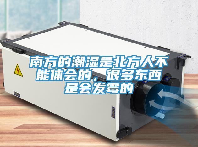 南方的潮濕是北方人不能體會的,很多東西是會發(fā)霉的