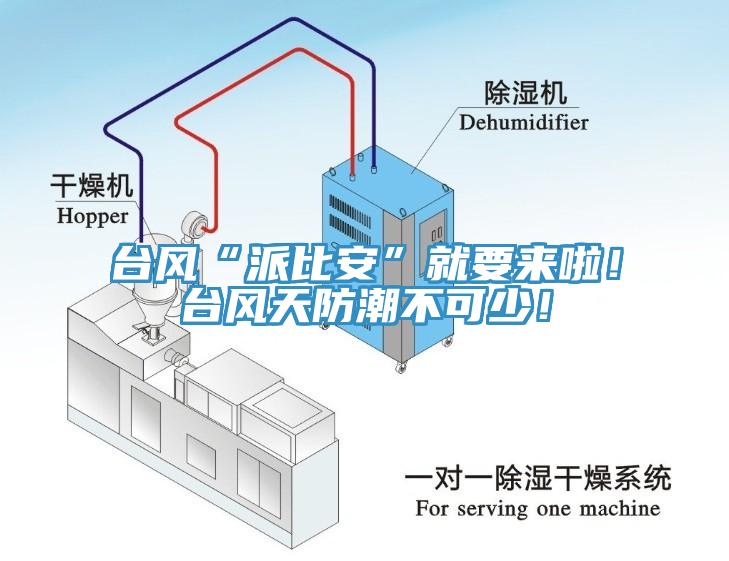 臺風(fēng)“派比安”就要來啦！臺風(fēng)天防潮不可少！