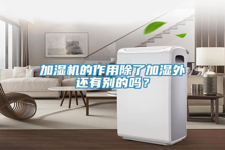 加濕機(jī)的作用除了加濕外還有別的嗎?