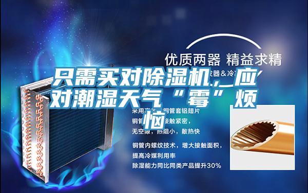 只需買對除濕機(jī)，應(yīng)對潮濕天氣“霉”煩惱