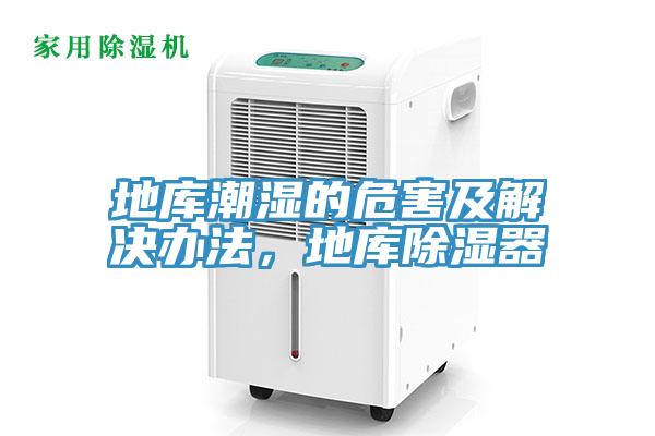 地庫潮濕的危害及解決辦法，地庫除濕器