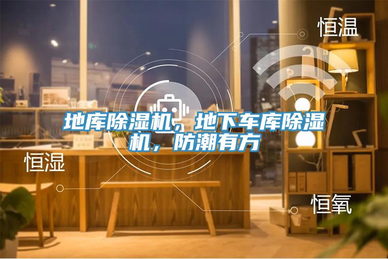 地庫除濕機，地下車庫除濕機，防潮有方