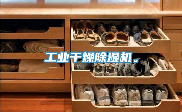 工業干燥除濕機。