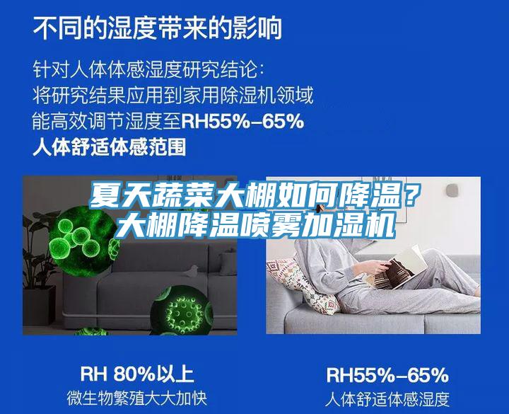 夏天蔬菜大棚如何降溫?大棚降溫噴霧加濕機(jī)