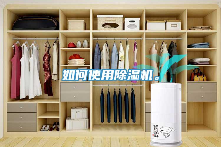 如何使用除濕機。