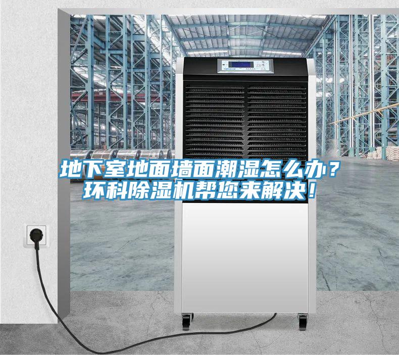 地下室地面墻面潮濕怎么辦？環科除濕機幫您來解決！