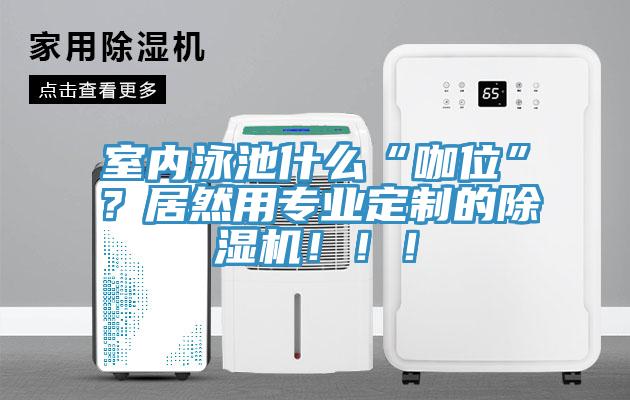 室內泳池什么“咖位”？居然用專業定制的除濕機！?。?/></p>
                            <p style=