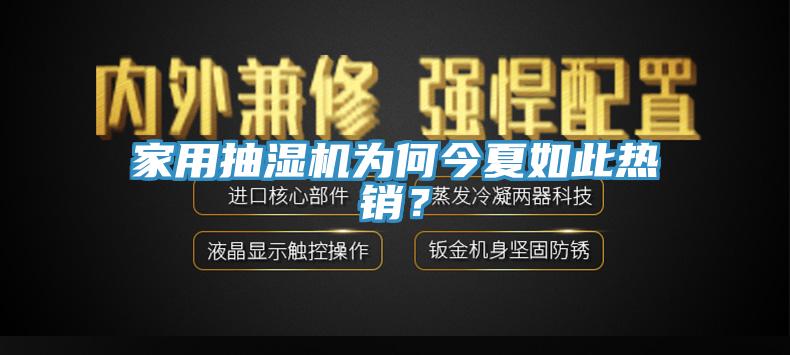 家用抽濕機為何今夏如此熱銷？