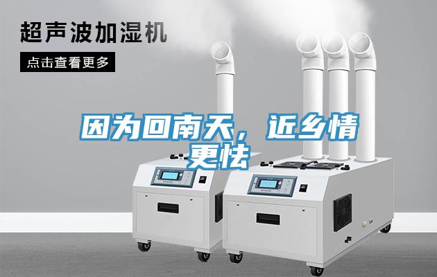 因?yàn)榛啬咸欤l(xiāng)情更怯