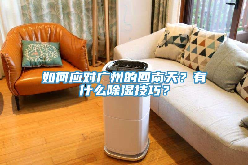 如何應對廣州的回南天？有什么除濕技巧？
