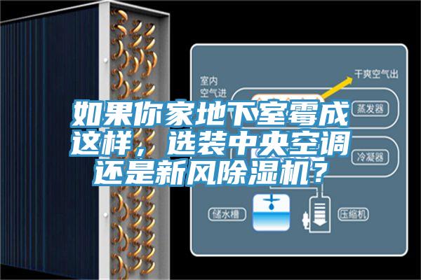 如果你家地下室霉成這樣，選裝中央空調還是新風除濕機？