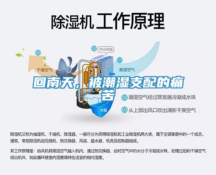 回南天,被潮濕支配的痛苦