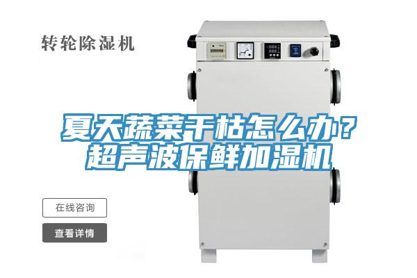 夏天蔬菜干枯怎么辦?超聲波保鮮加濕機(jī)
