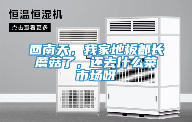 回南天，我家地板都長蘑菇了，還去什么菜市場呀