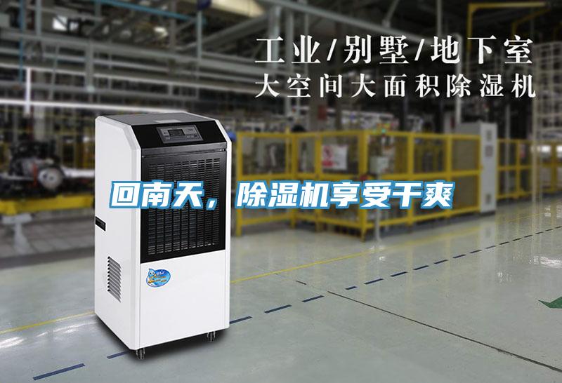 回南天，除濕機享受干爽