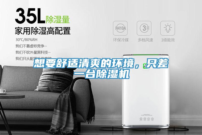 想要舒適清爽的環(huán)境,只差一臺除濕機