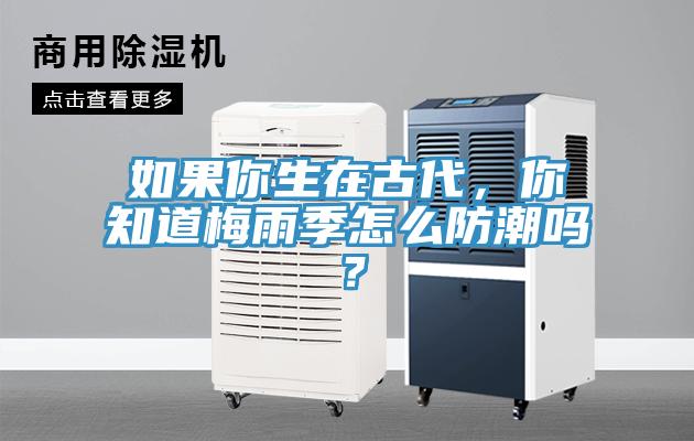如果你生在古代，你知道梅雨季怎么防潮嗎？