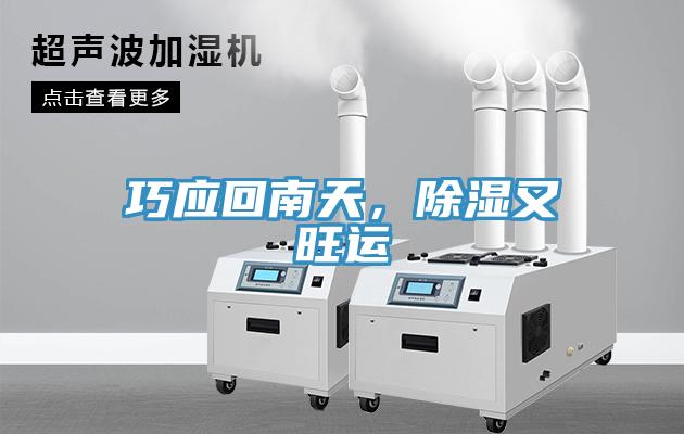 巧應回南天,除濕又旺運