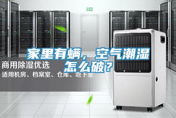 家里有螨，空氣潮濕怎么破？