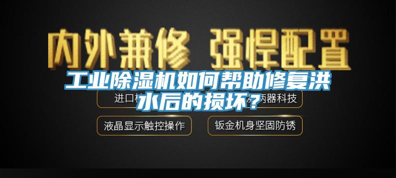 工業除濕機如何幫助修復洪水后的損壞?