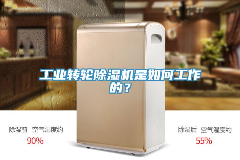 工業轉輪除濕機是如何工作的?
