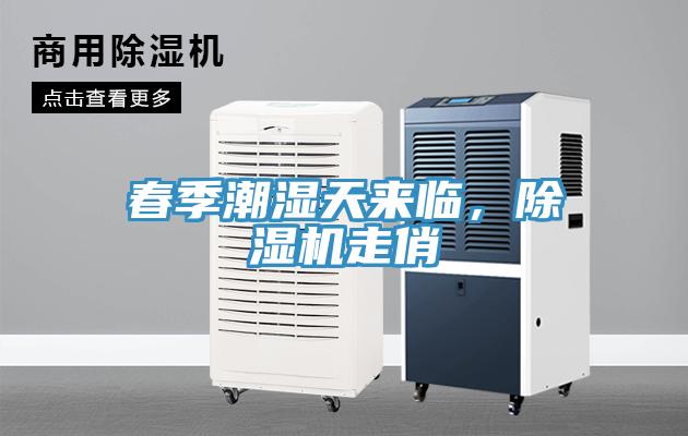 春季潮濕天來臨,除濕機走俏