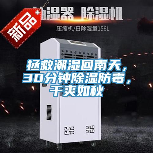 拯救潮濕回南天，30分鐘除濕防霉，干爽如秋